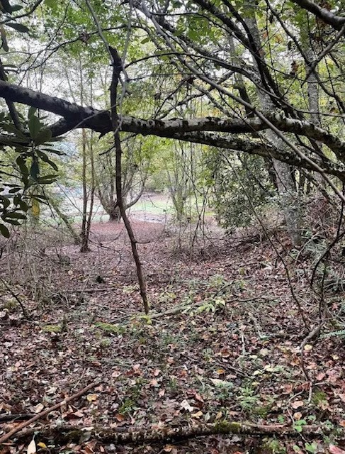00 Wayah Road Property Photo 11