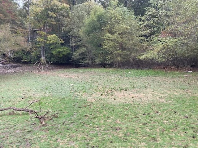 00 Wayah Road Property Photo 14