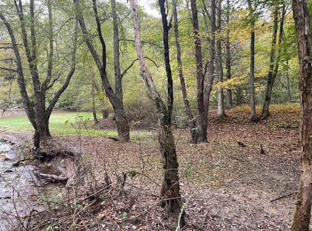 00 Wayah Road Property Photo 15