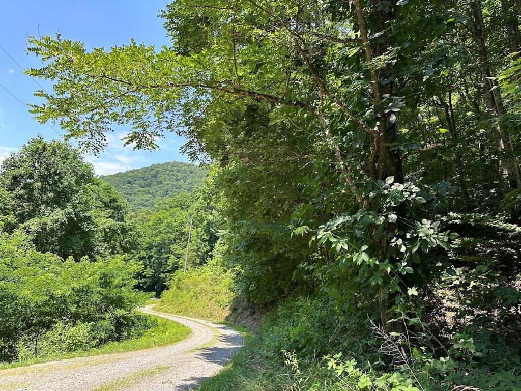 Tbd Old Fain Road Property Photo 1