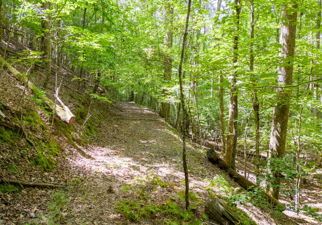 Tbd Waldroup Road Property Photo 6