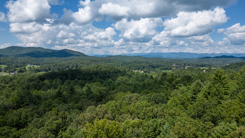 Tbd Waldroup Road Property Photo 8