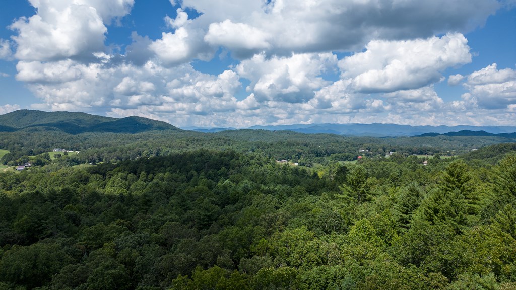 Tbd Waldroup Road Property Photo 9