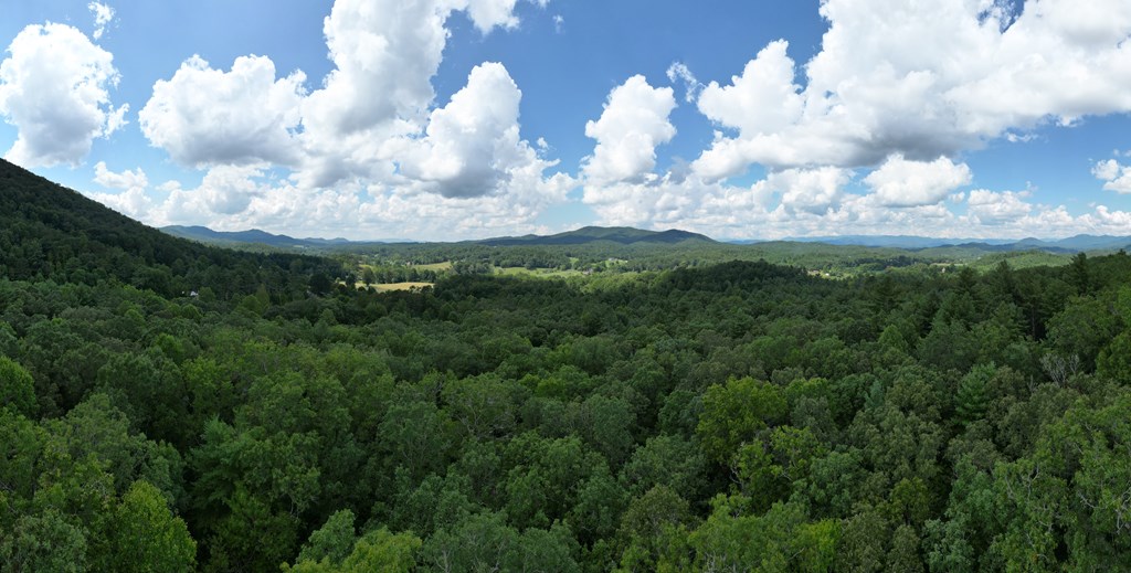 Tbd Waldroup Road Property Photo 10