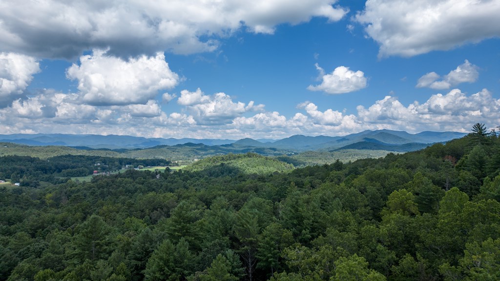 Tbd Waldroup Road Property Photo 11