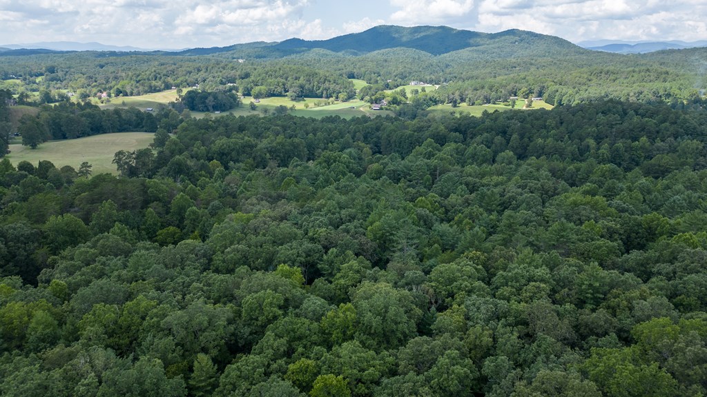 Tbd Waldroup Road Property Photo 12