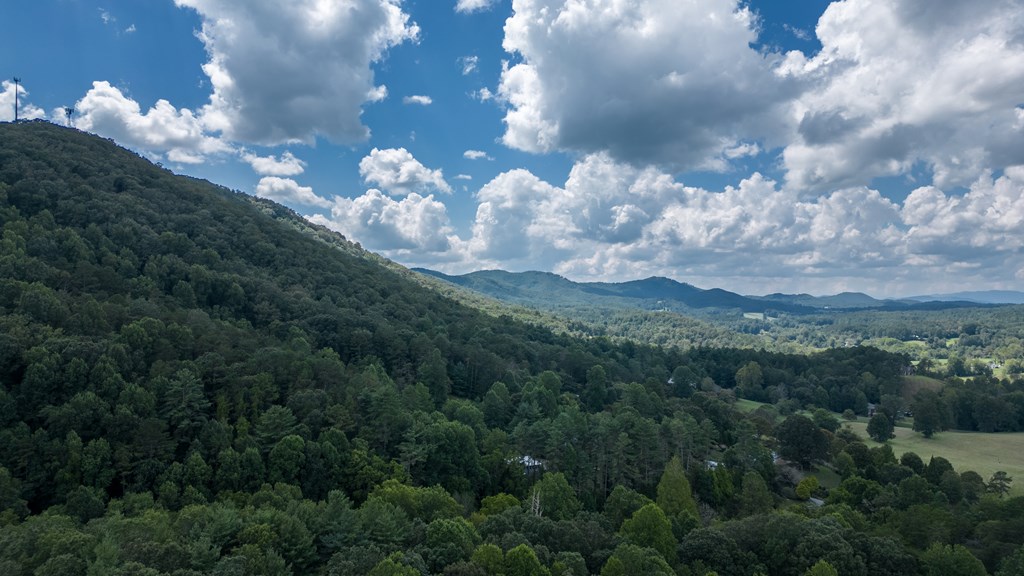 Tbd Waldroup Road Property Photo 14