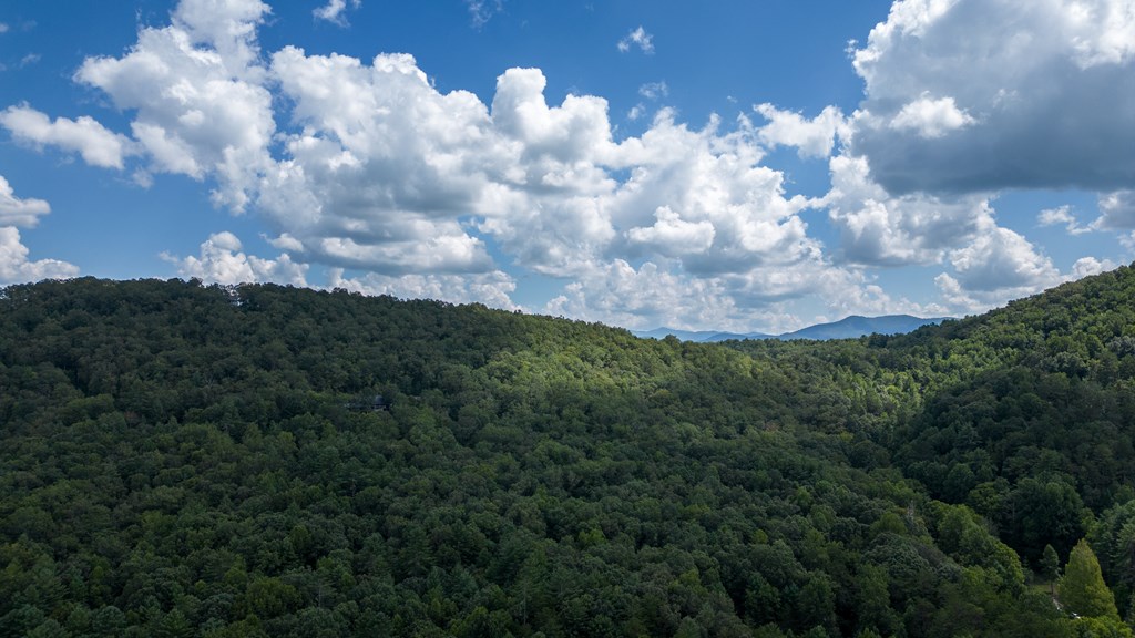 Tbd Waldroup Road Property Photo 15