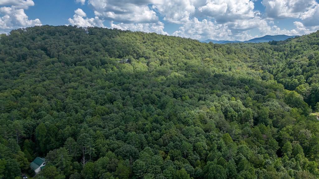 Tbd Waldroup Road Property Photo 16