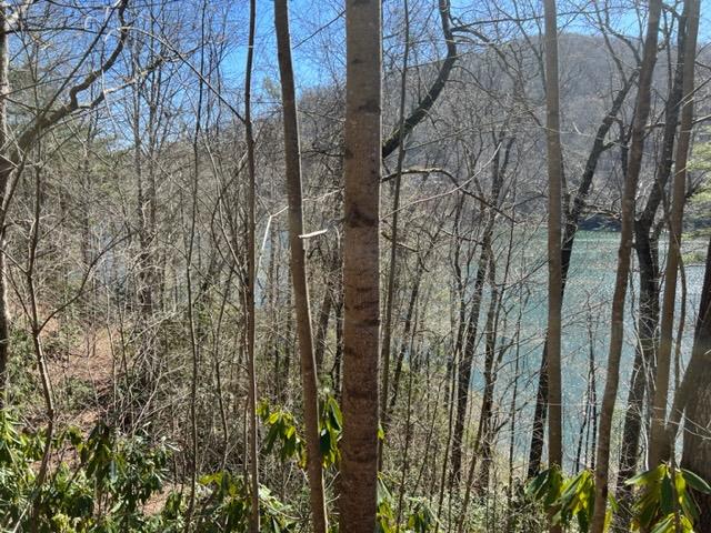 Lot 41 Indian Lake Drive Property Photo 3