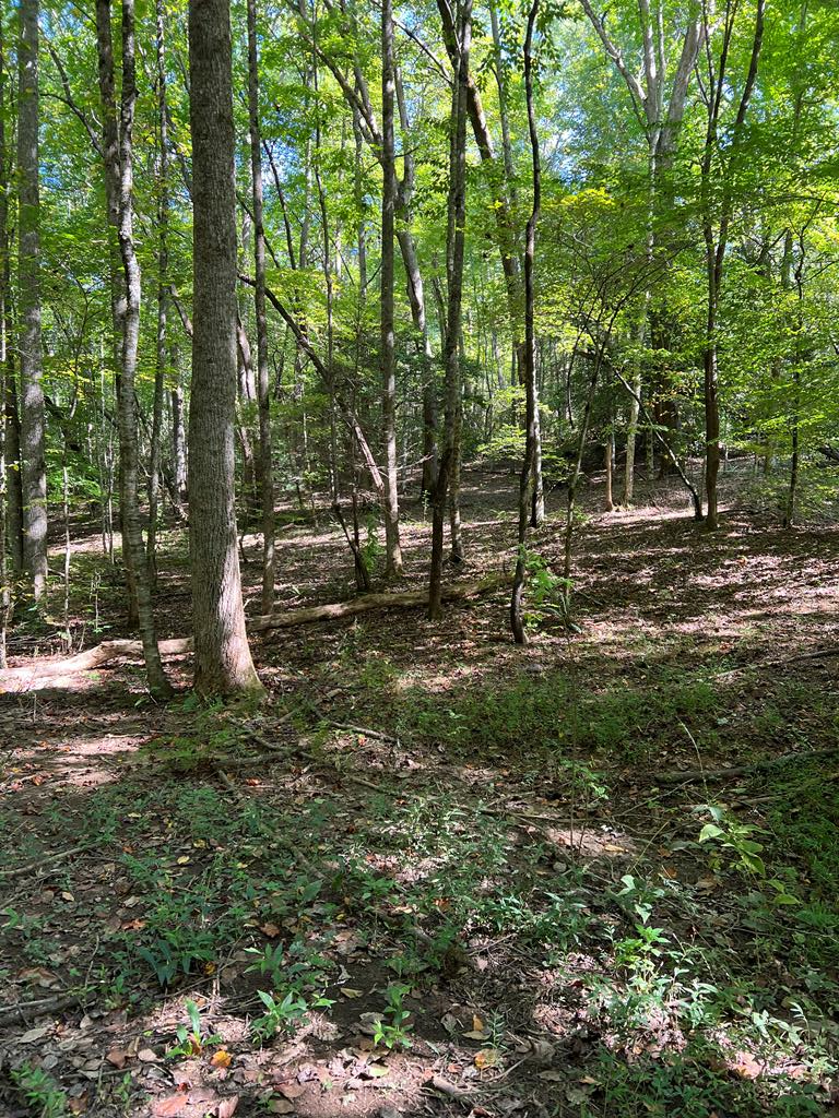 00 Collett Woods Property Photo