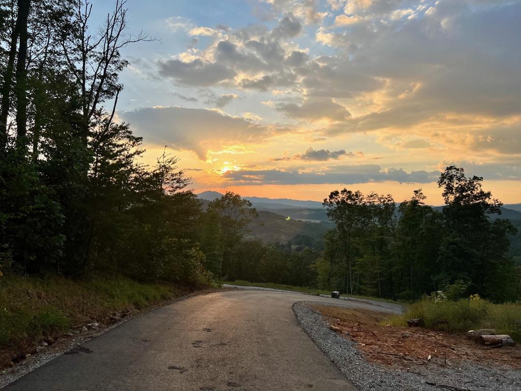 0 Grand Laurel Property Photo 1