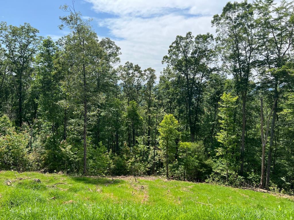 0 Grand Laurel Property Photo 5