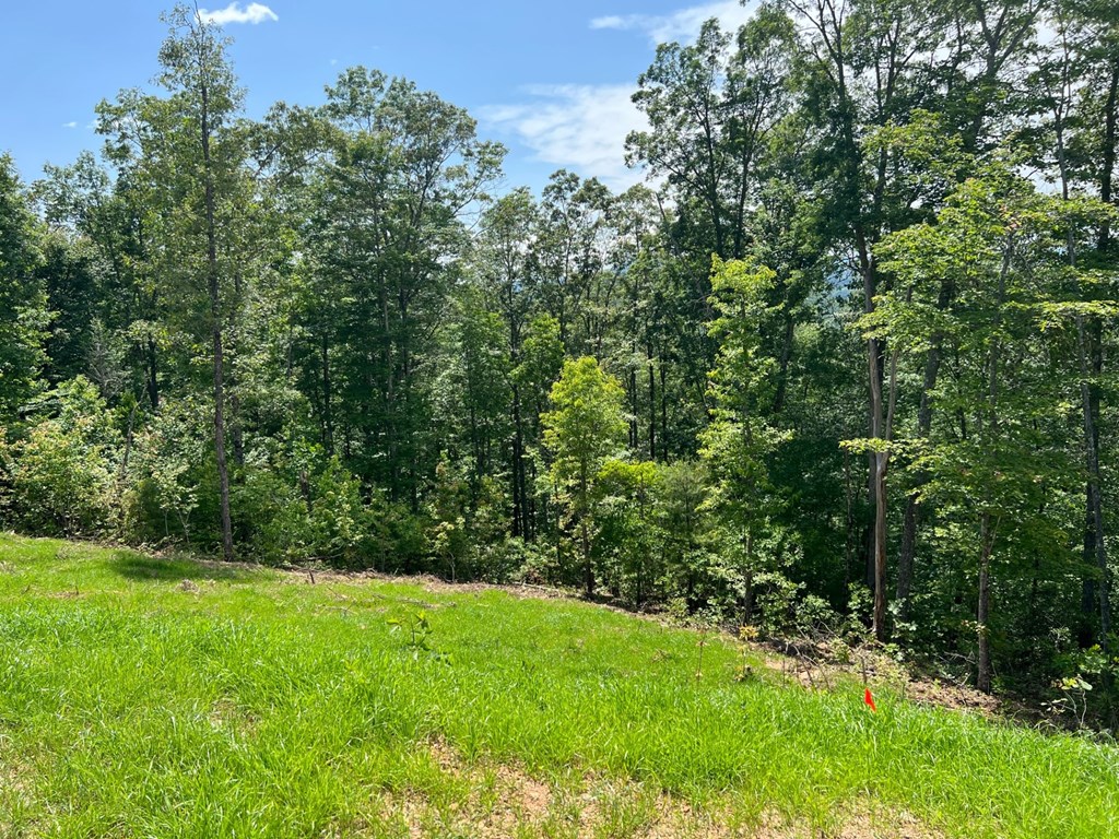 0 Grand Laurel Property Photo 7