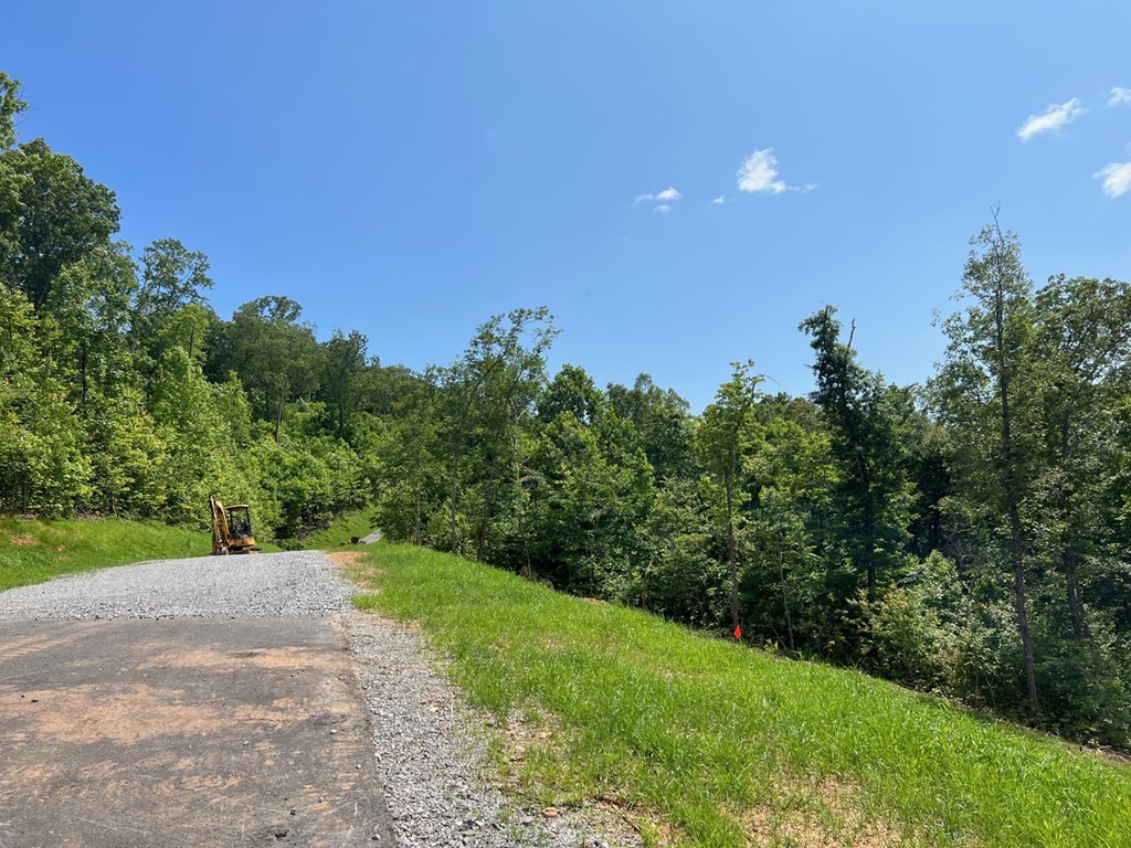 0 Grand Laurel Property Photo 8