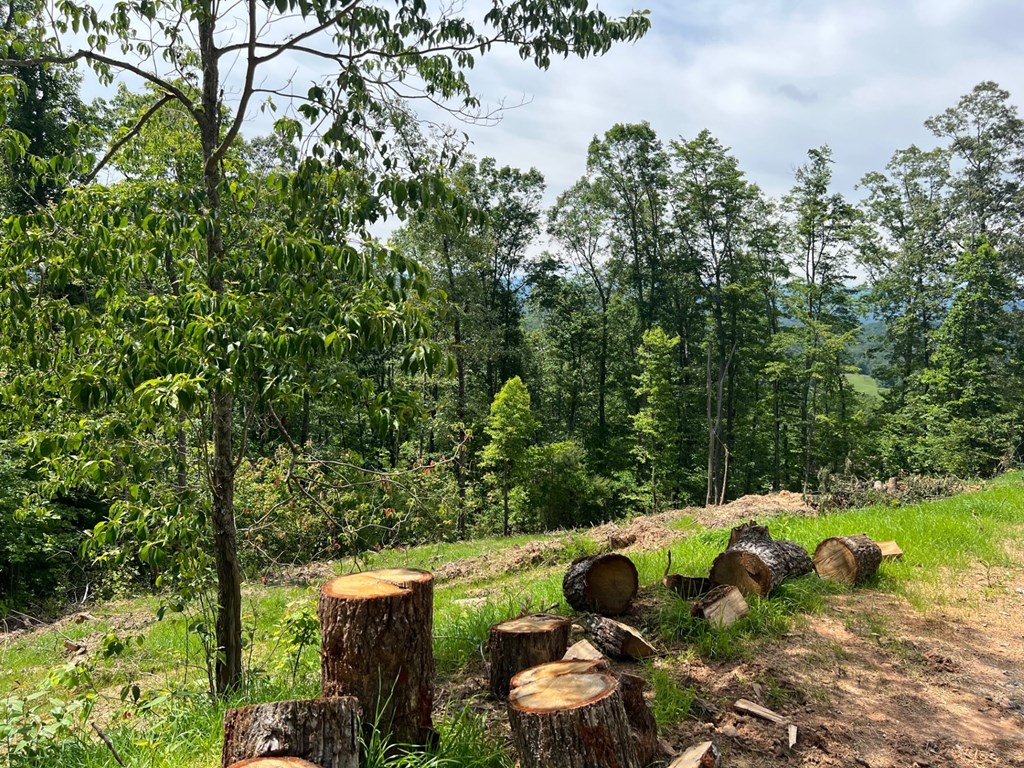 0 Grand Laurel Property Photo 9