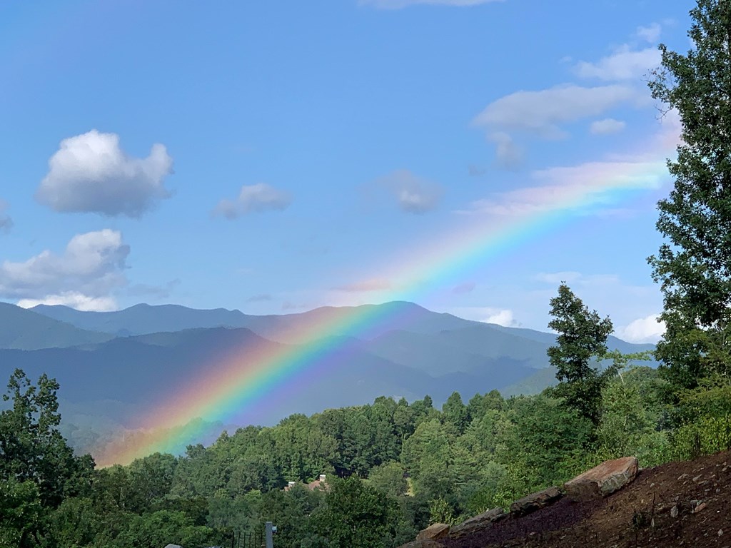 0 Grand Laurel Property Photo 10