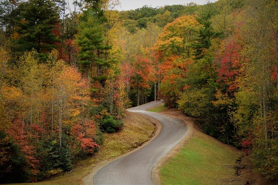 0 Grand Laurel Property Photo 13