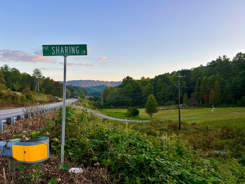 10.53ac Sharing Lane/ Highway 294 Property Photo 2