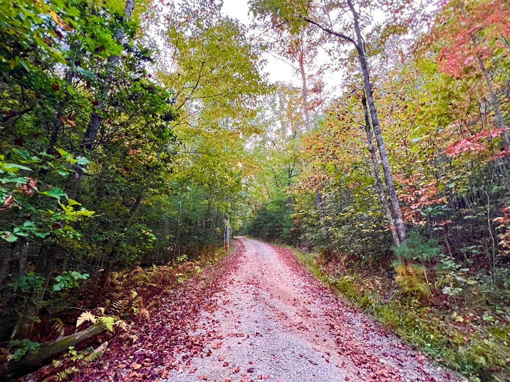 10.53ac Sharing Lane/ Highway 294 Property Photo 3