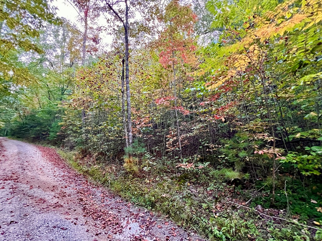 10.53ac Sharing Lane/ Highway 294 Property Photo 4