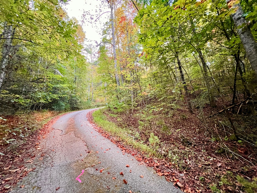 10.53ac Sharing Lane/ Highway 294 Property Photo 5