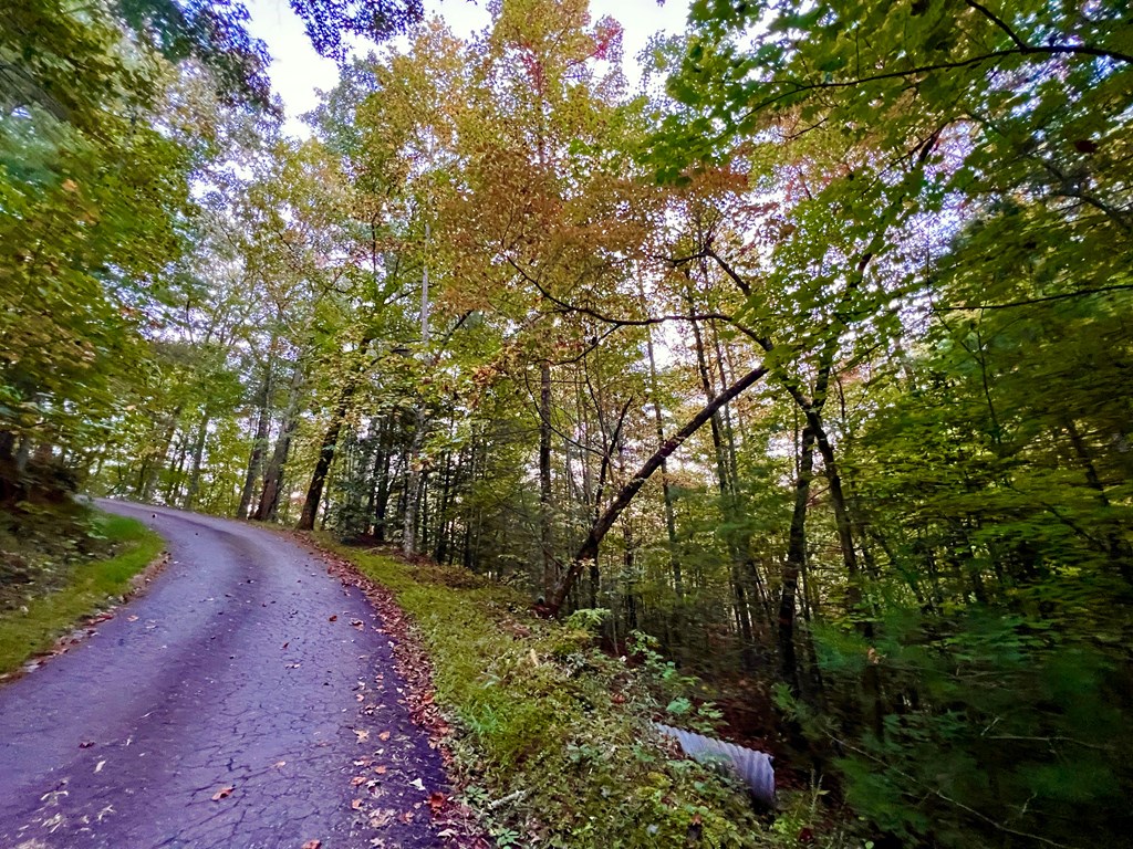 10.53ac Sharing Lane/ Highway 294 Property Photo 7