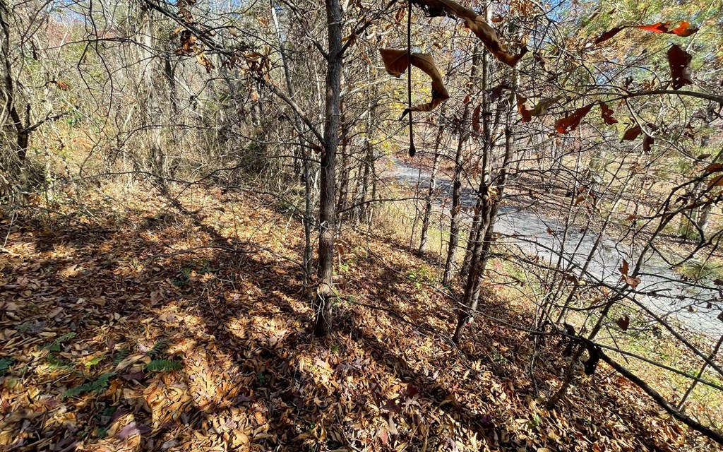 Lot 12 Brookhaven Property Photo 2