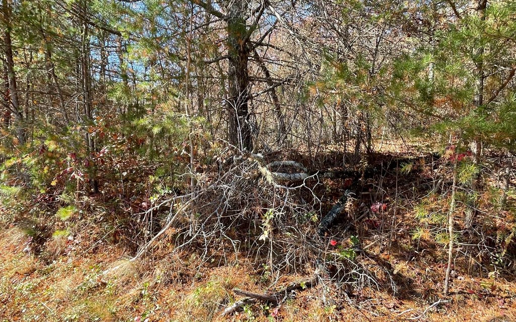 Lot 12 Brookhaven Property Photo 3