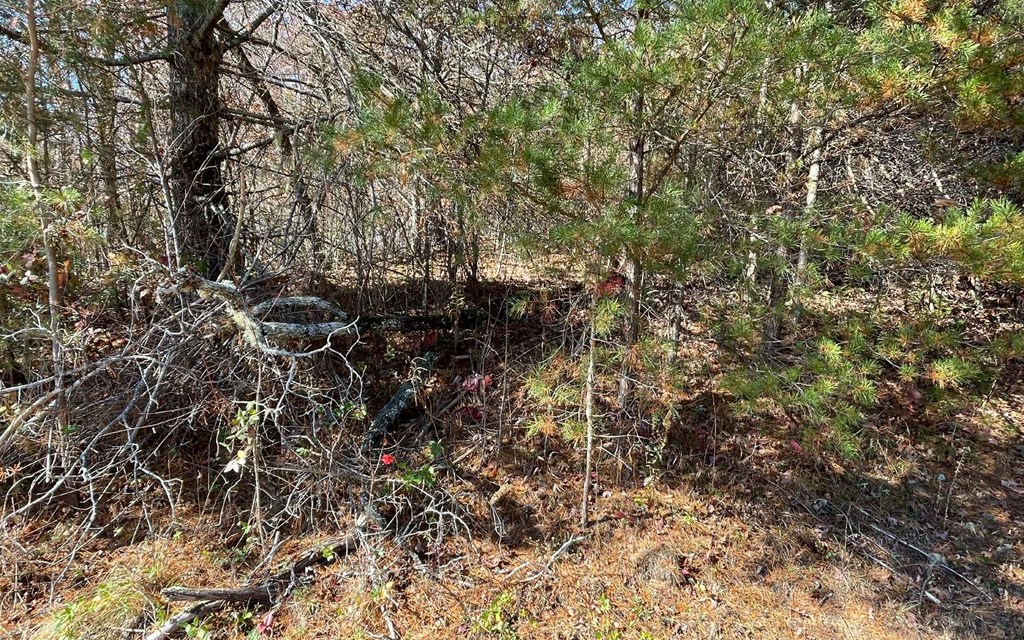 Lot 12 Brookhaven Property Photo 4