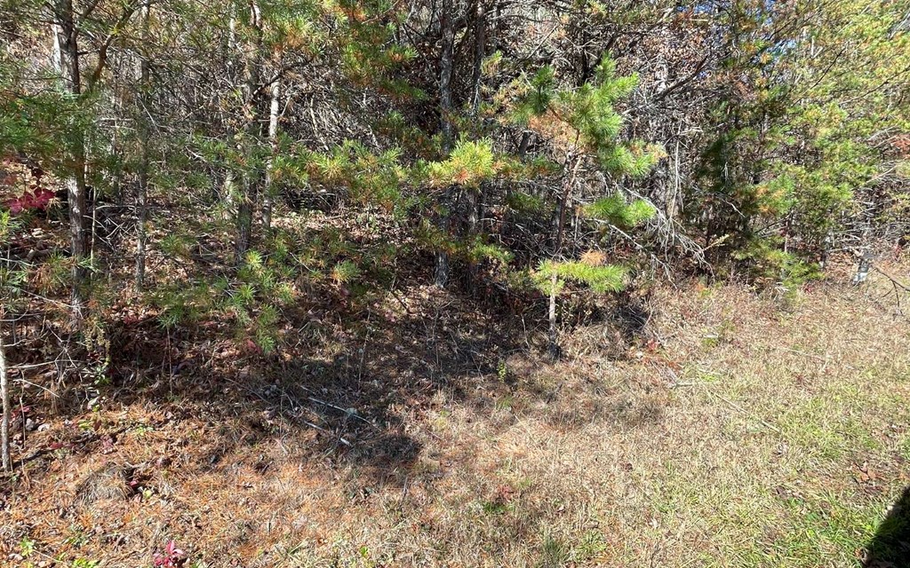 Lot 12 Brookhaven Property Photo 6
