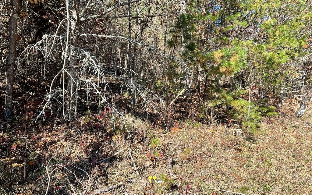 Lot 12 Brookhaven Property Photo 8