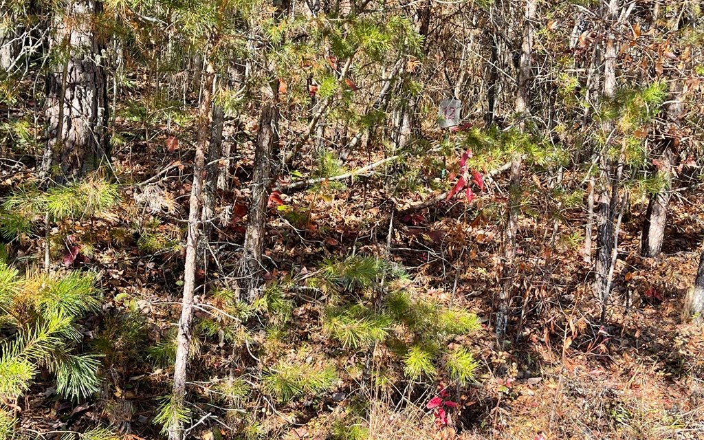 Lot 12 Brookhaven Property Photo 9