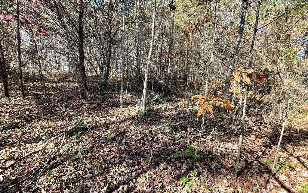 Lot 12 Brookhaven Property Photo 14