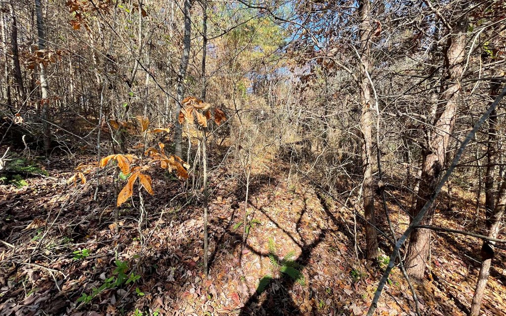 Lot 12 Brookhaven Property Photo 15