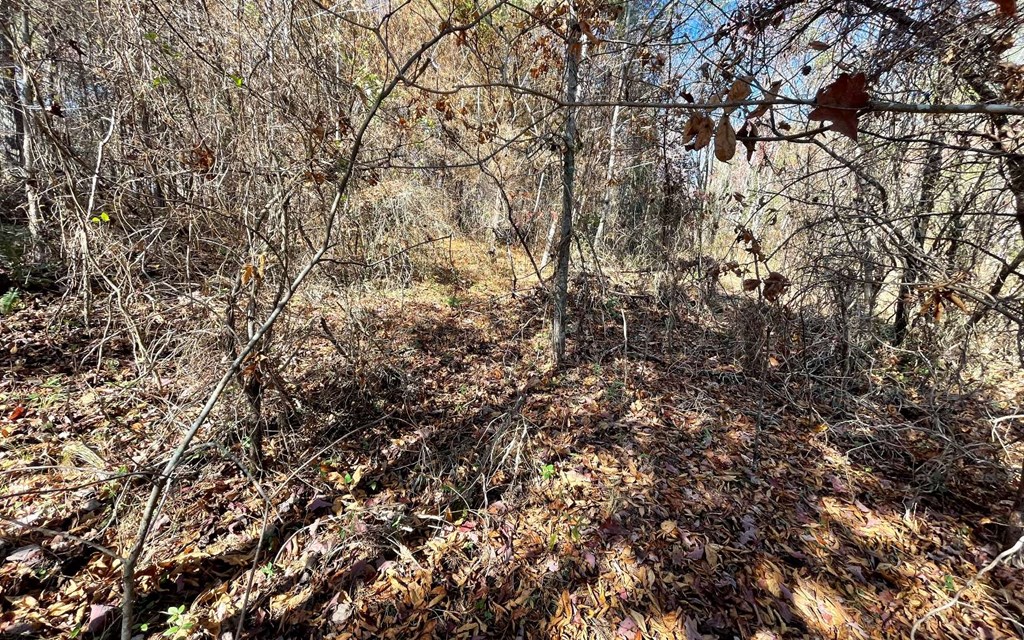 Lot 12 Brookhaven Property Photo 16