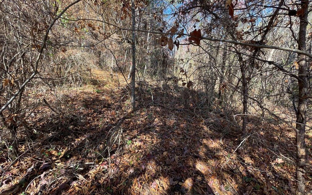 Lot 12 Brookhaven Property Photo 17