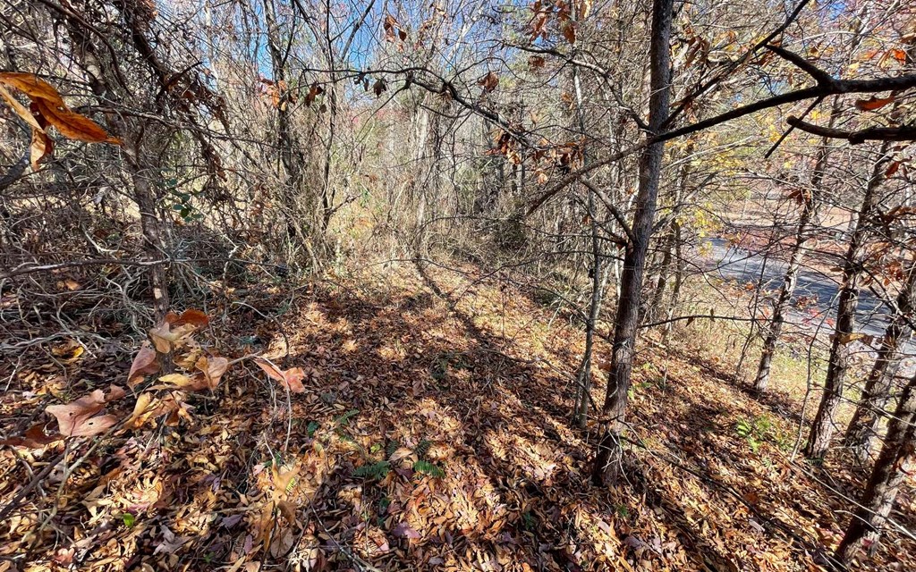 Lot 12 Brookhaven Property Photo 18