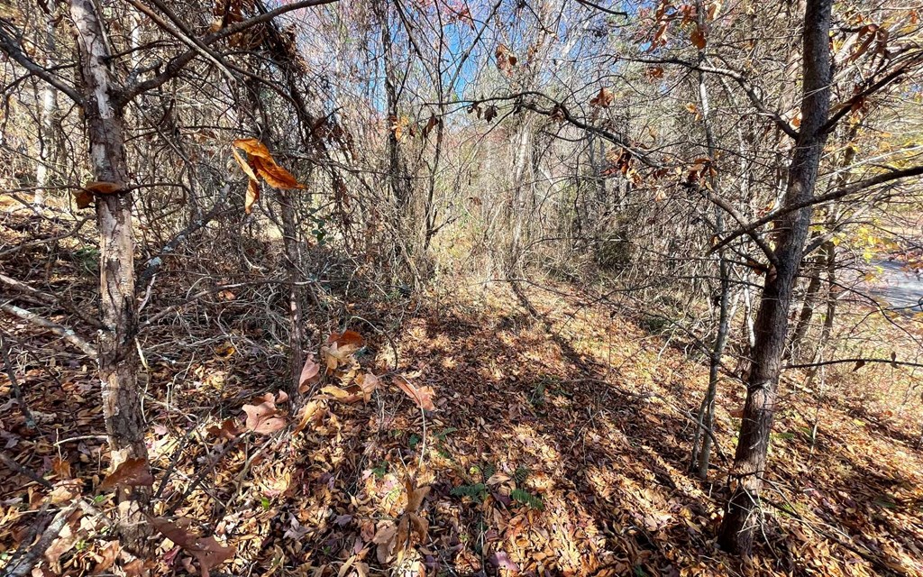 Lot 12 Brookhaven Property Photo 19