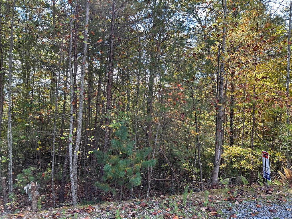 Lot 15 Doe Trl Property Photo 2
