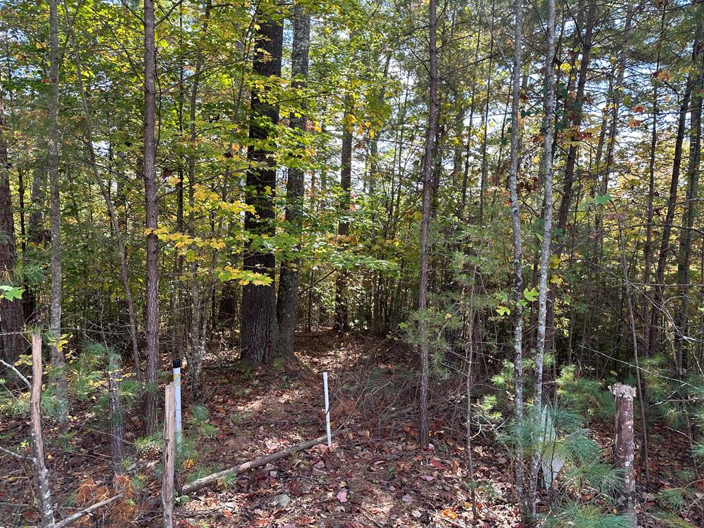 Lot 15 Doe Trl Property Photo 4
