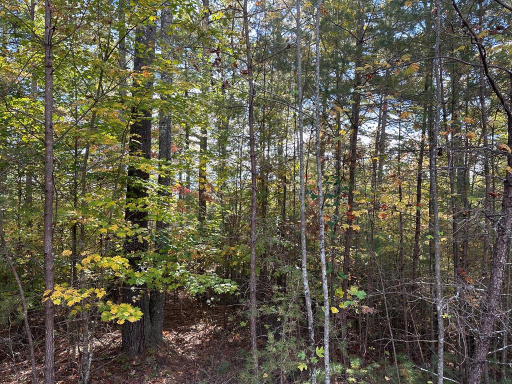 Lot 15 Doe Trl Property Photo 5