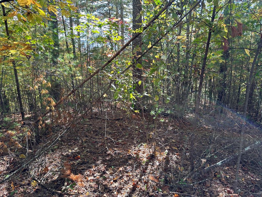 Lot 15 Doe Trl Property Photo 6