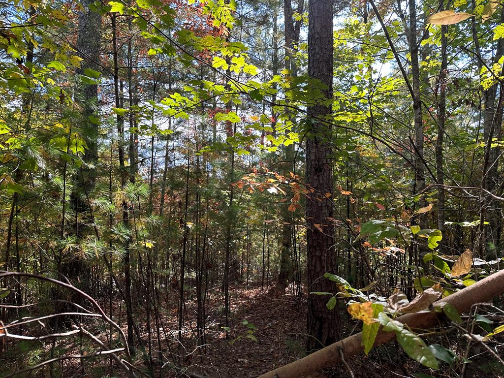 Lot 15 Doe Trl Property Photo 7