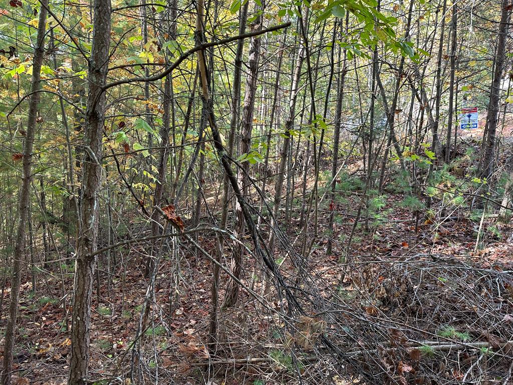 Lot 15 Doe Trl Property Photo 8