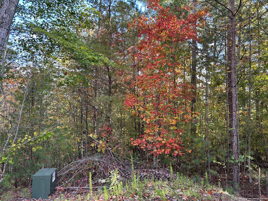 Lot 15 Doe Trl Property Photo 9