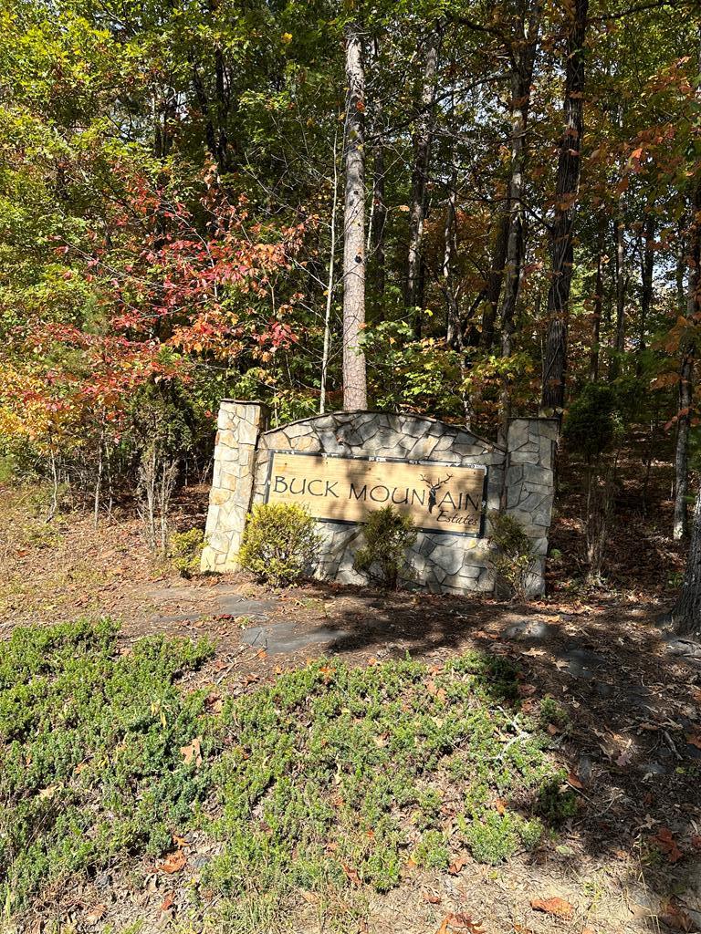 Lot 15 Doe Trl Property Photo 10
