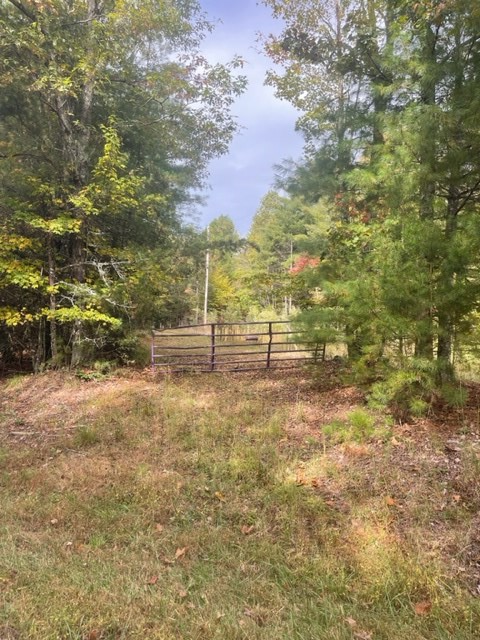 Tbd Tobe Stalcup Rd Property Photo 3