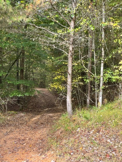 Tbd Tobe Stalcup Rd Property Photo 6