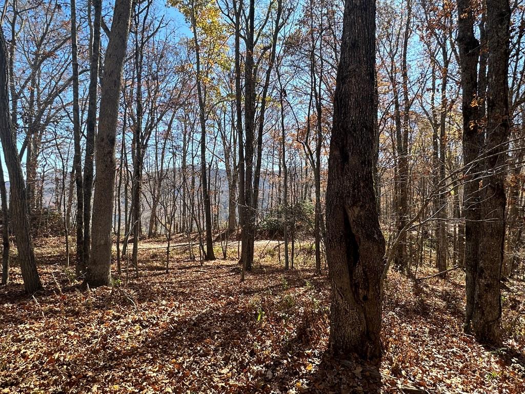 2680 Conley Mountain Association Road Property Photo 23
